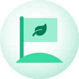 Decarbonisation commitments